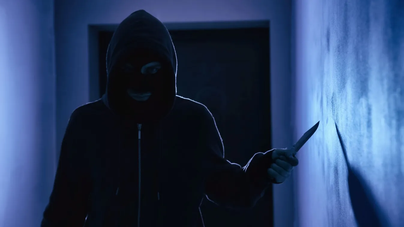 Egy 13 éves fiú szúrta nyakon anyját és nagyanyját Gönyűben – elfogták