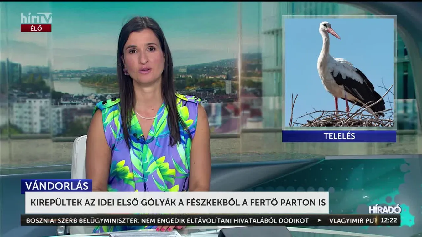 Kirepültek az idei első gólyák a fészkekből a Fertő Parton is