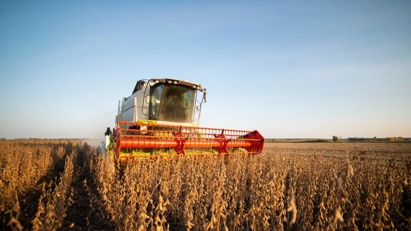 Trump irreális követelése máris megroppantotta a szójabab árát