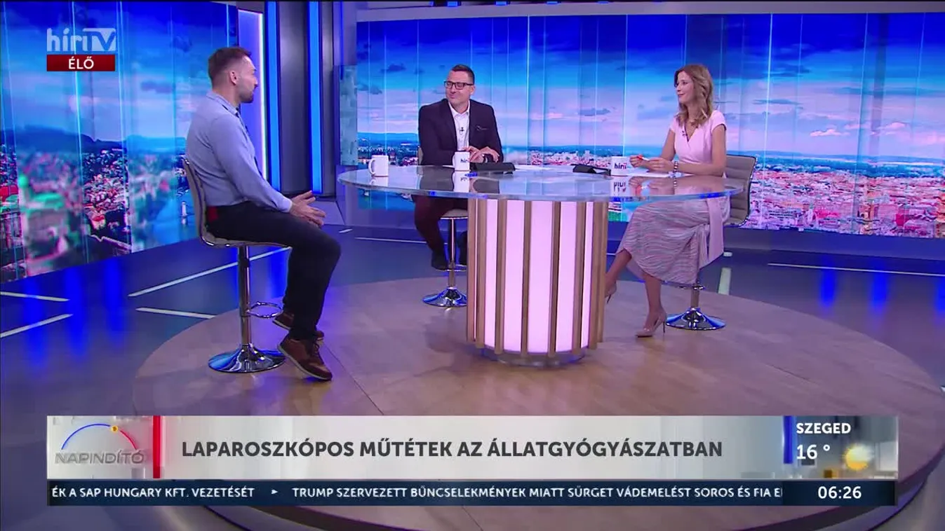 Laparaszkópos műtétek az állatgyógyászatban