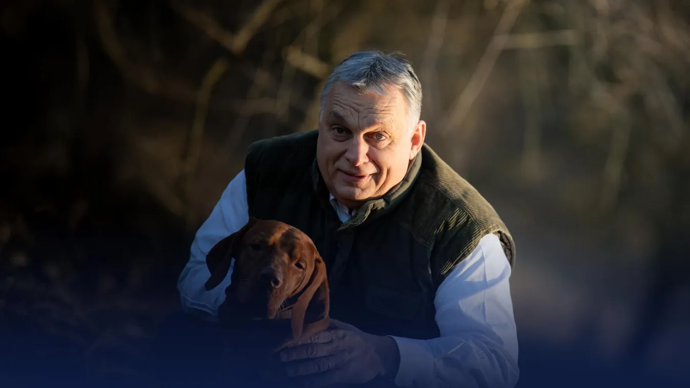 Augusztus 20-tól hatályba léptek az új állatvédelmi szabályok – jelezte Orbán Viktor a közösségi oldalán