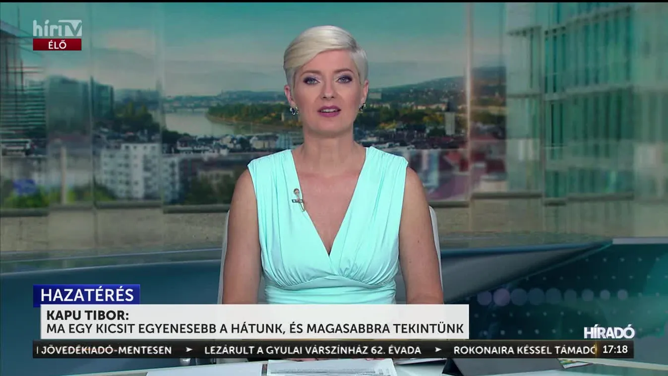 8 hónap után hazatért Magyarországra Kapu Tibor