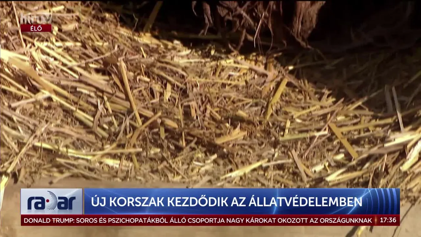 	Radar - Új korszak kezdődik az állatvédelemben