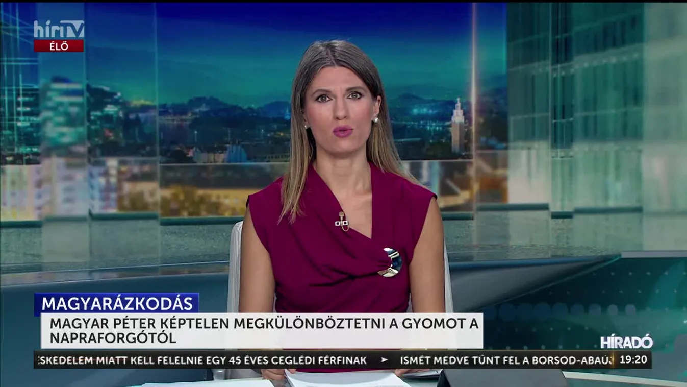 MAGYAR PÉTER KÉPTELEN MEGKÜLÖNBÖZTETNI A GYOMOT A NAPRAFORGÓTÓL