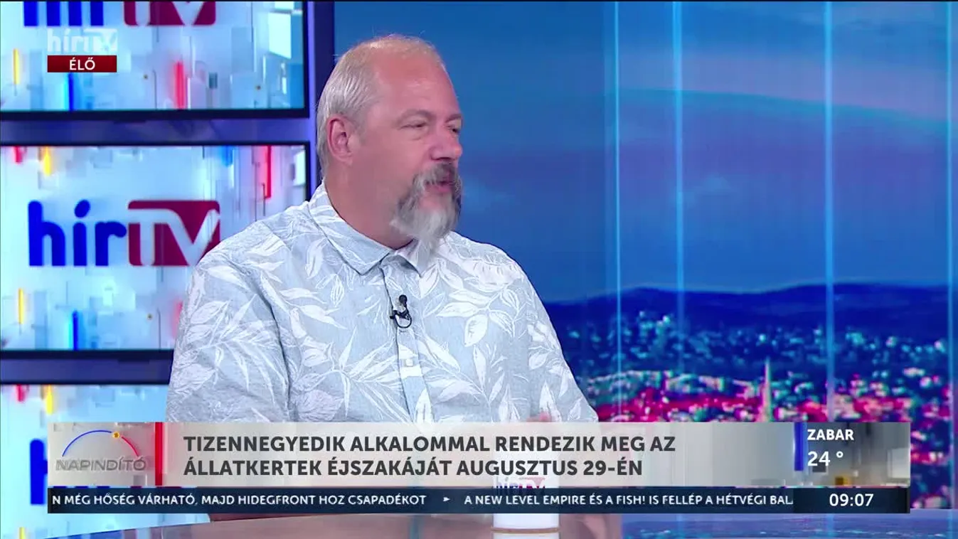 Idén a "Városi vadon" a tematika