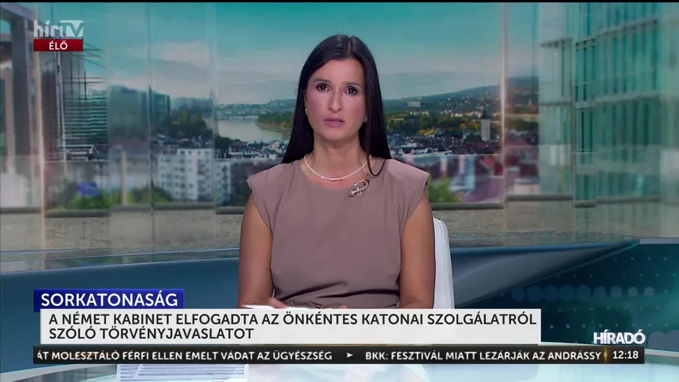 A NÉMET KABINET ELFOGADTA AZ ÖNKÉNTES KATONAI SZOLGÁLATRÓL SZÓLÓ TÖRVÉNYJAVASLATOT