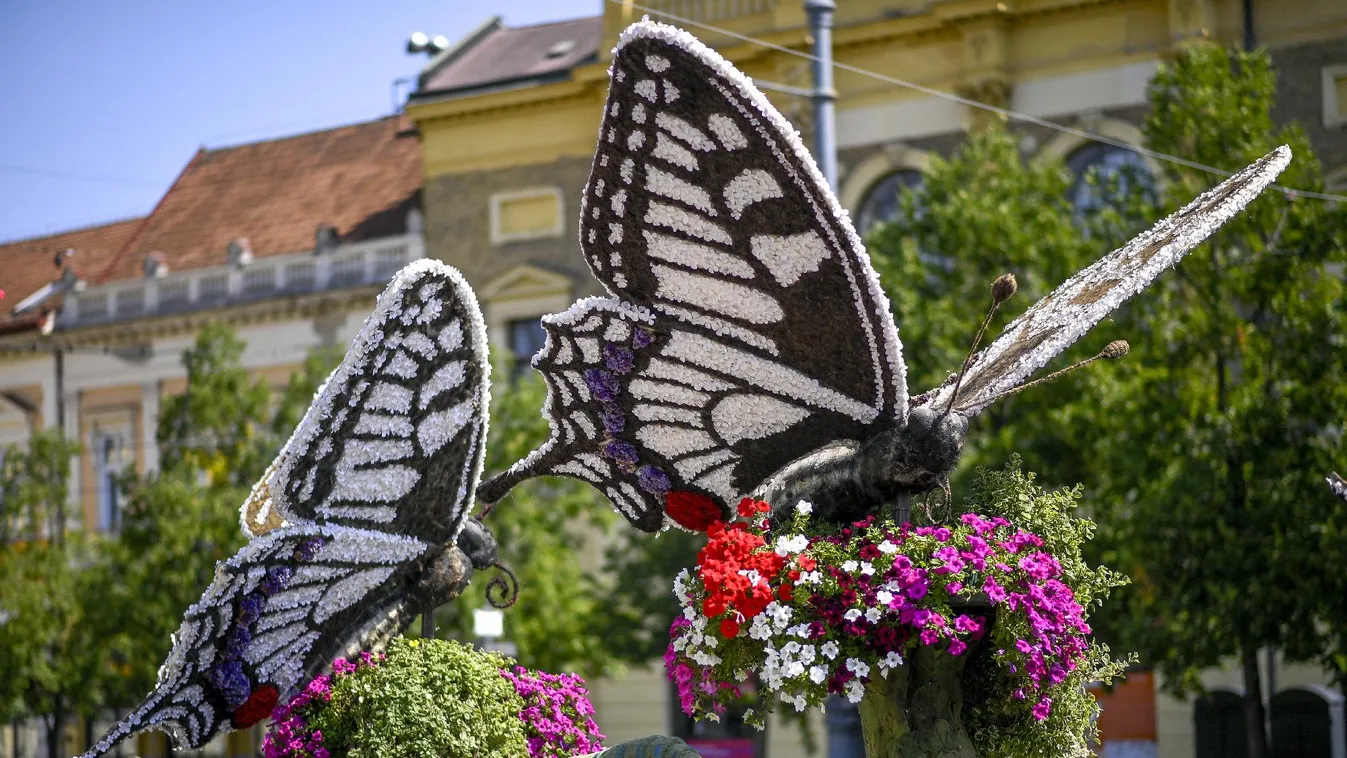 Elkezdődött a Debreceni Virágkarnevál felvonulása