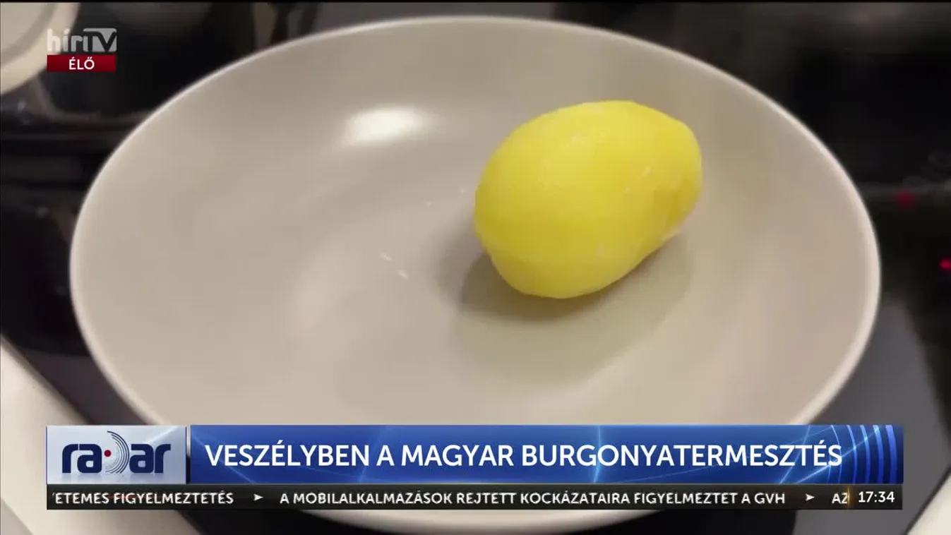 Radar – Hazai nemesítésű, kiváló magyar burgonyafajták