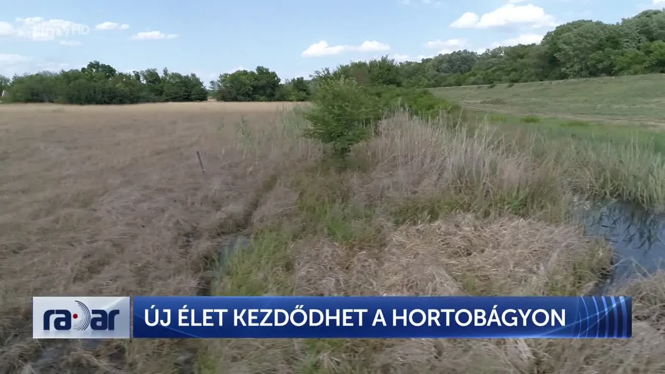 Radar – Új élet kezdődhet a Hortobágyon