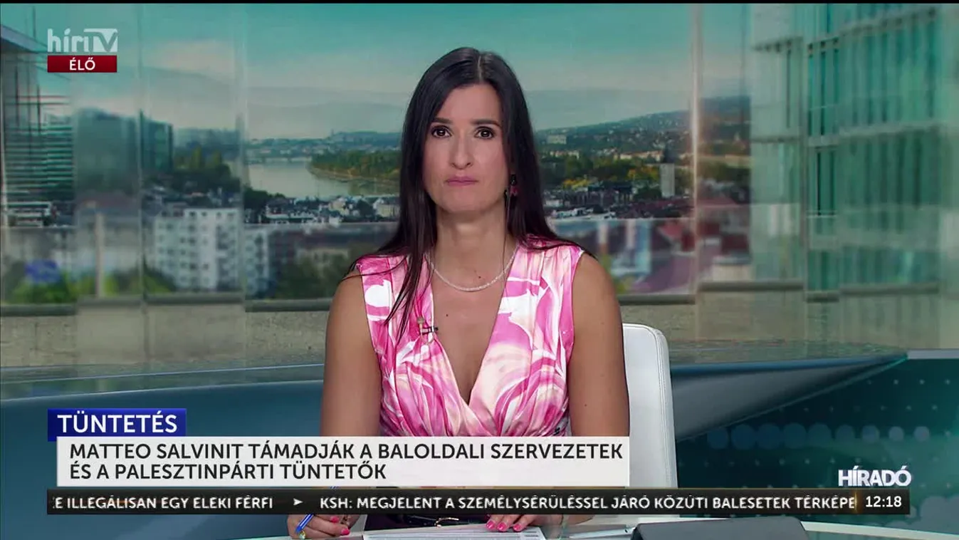 Matteo Salvinit támadják a baloldali szervezetek és a palesztinpárti tüntetők