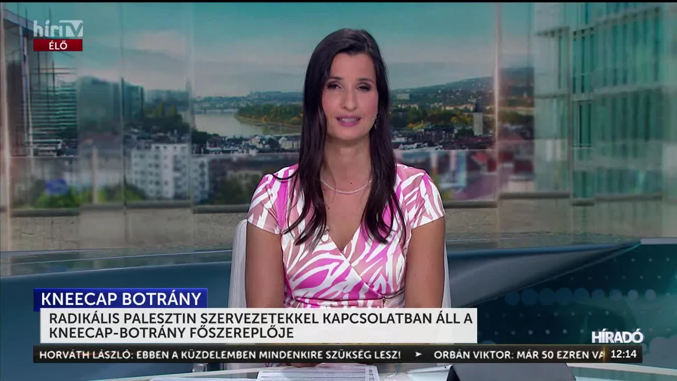 RADIKÁLIS PALESZTIN SZERVEZETEKKEL KAPCSOLATBAN ÁLL A KNEECAP-BOTRÁNY FŐSZEREPLŐJE