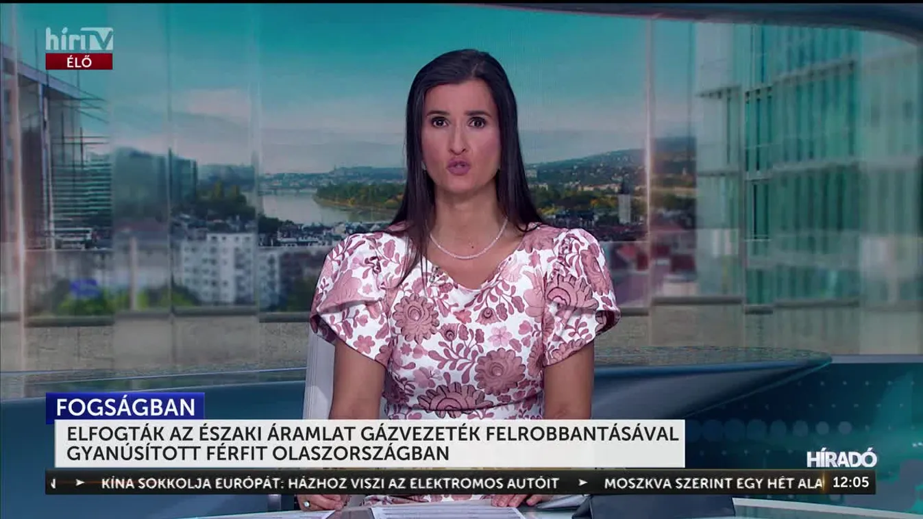 ELFOGTÁK AZ ÉSZAKI ÁRAMLAT GÁZVEZETÉK FELROBBANTÁSÁVAL GYANÚSÍTOTT FÉRFIT OLASZORSZÁGBAN