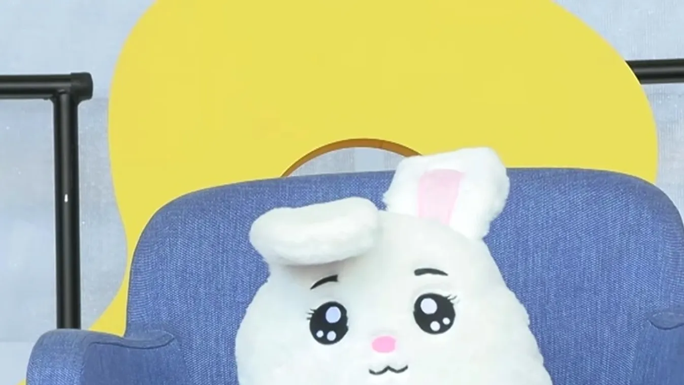 Kulja Andrást egy plüssnyúl helyettesítette az  MCC Feszten  + videó