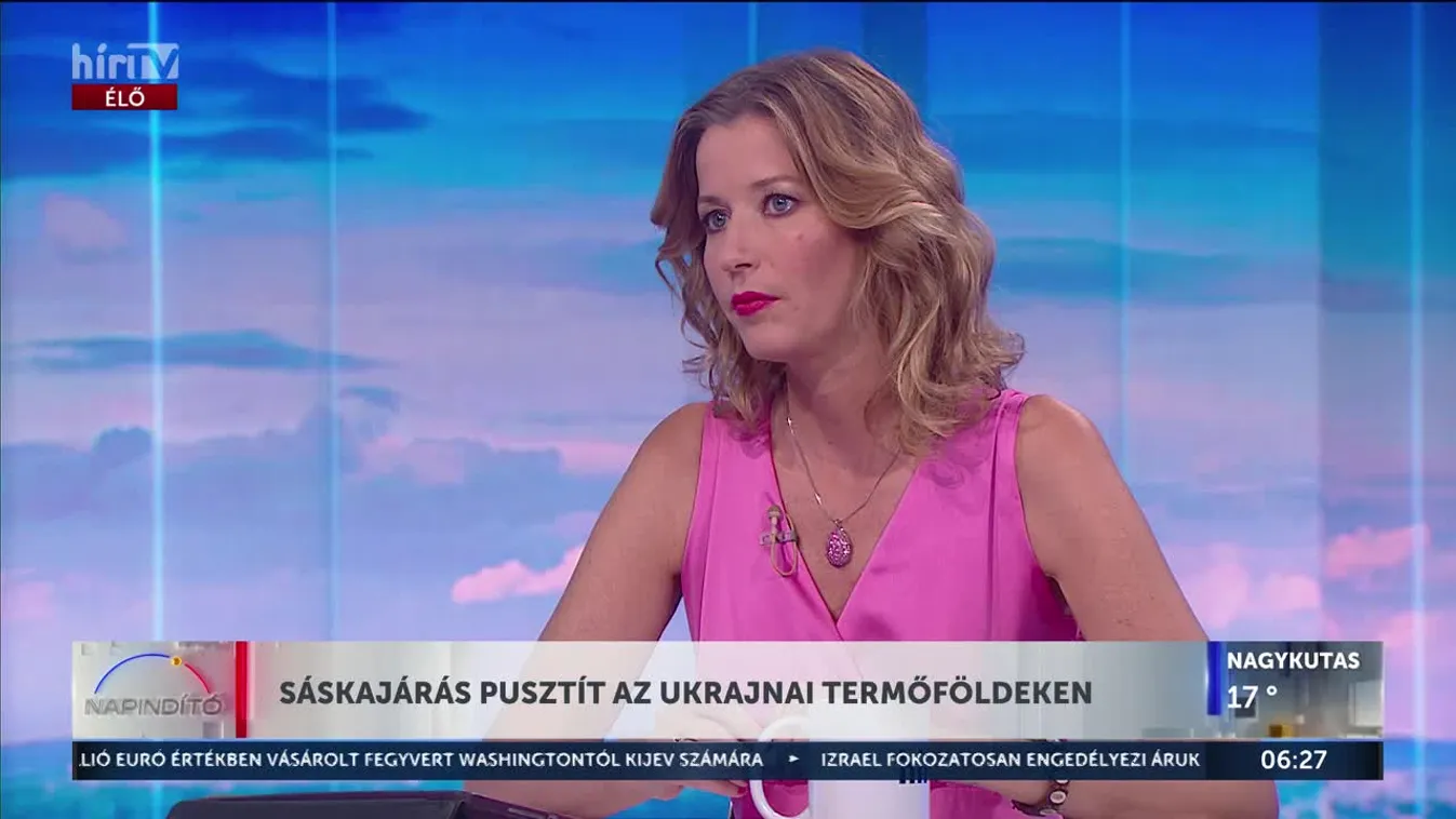 Sáskajárás pusztít az ukrajnai termőföldeken