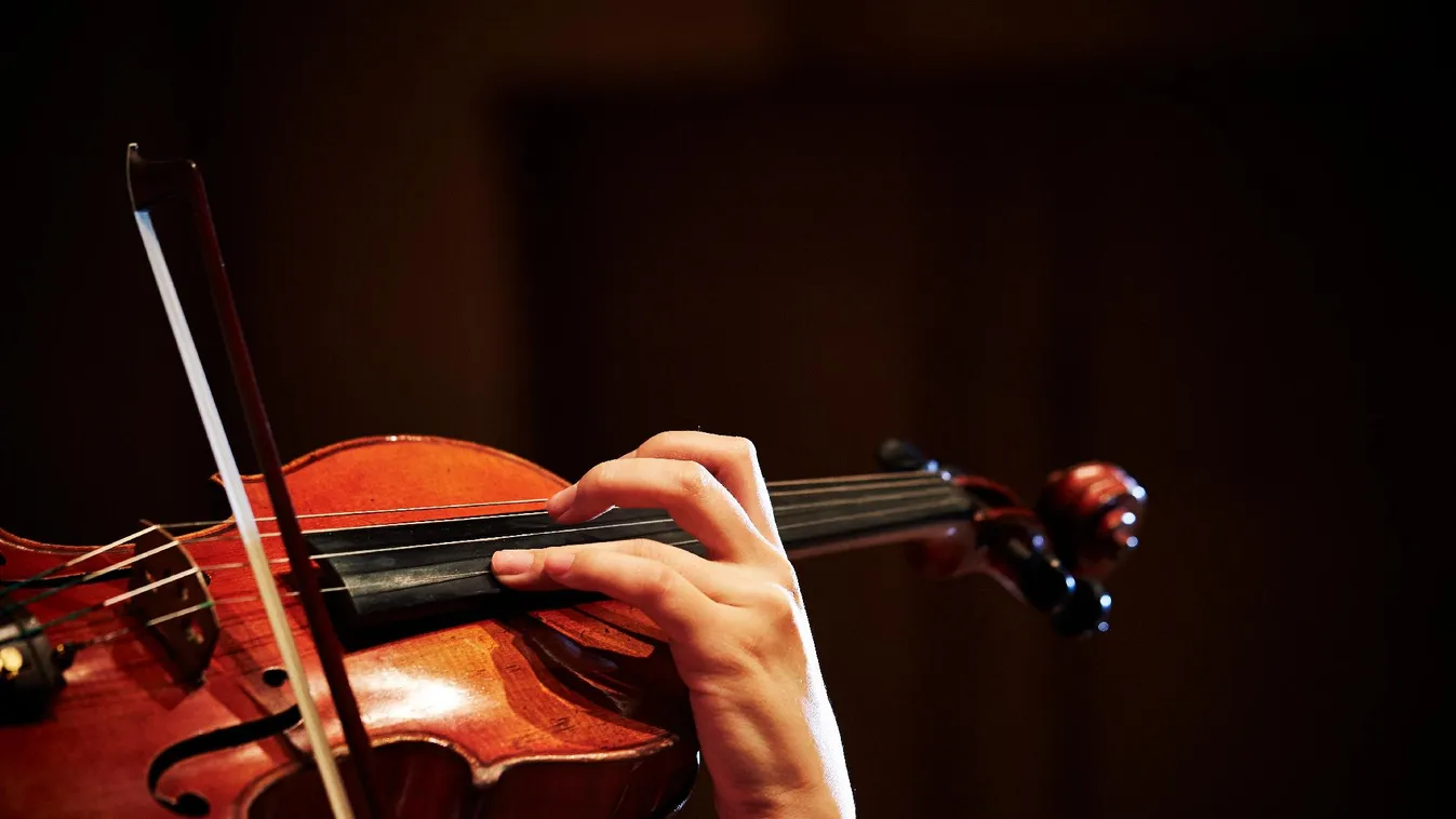 Több fesztiválon is fellép a Liszt Ferenc Kamarazenekar