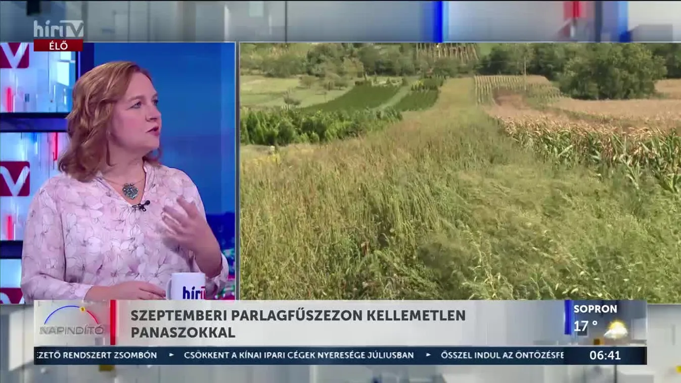 Szeptemberi parlagfűszezon kellemetlen panaszokkal