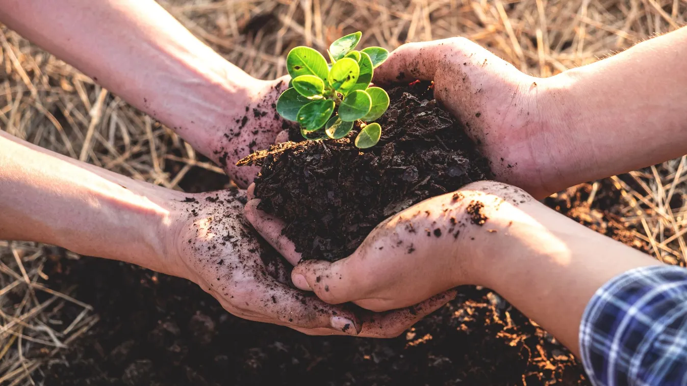A fogyasztókat is kedvezőtlenül érintené az uniós agrártámogatások elvonása