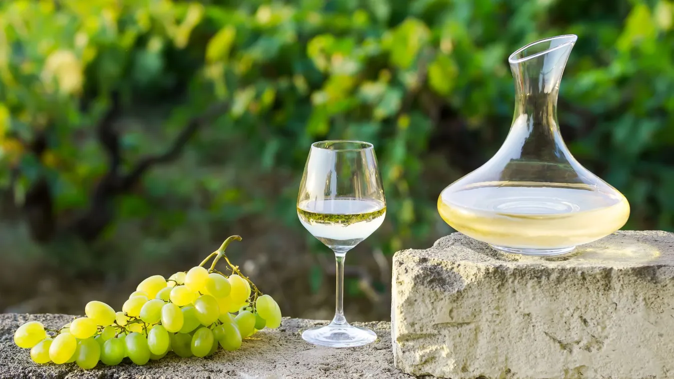 Agrárminisztérium: új lehetőségekkel segíti a kormány a szőlészet-borászati ágazatot