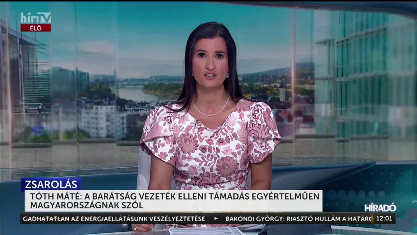 TÓTH MÁTÉ: A BARÁTSÁG VEZETÉK ELLENI TÁMADÁS EGYÉRTELMŰEN MAGYARORSZÁGNAK SZÓL