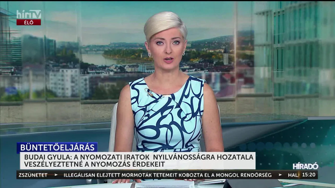 BUDAI GYULA: A NYOMOZATI IRATOK NYILVÁNOSSÁGRA HOZATALA VESZÉLYEZTETNÉ A NYOMOZÁS ÉRDEKEIT