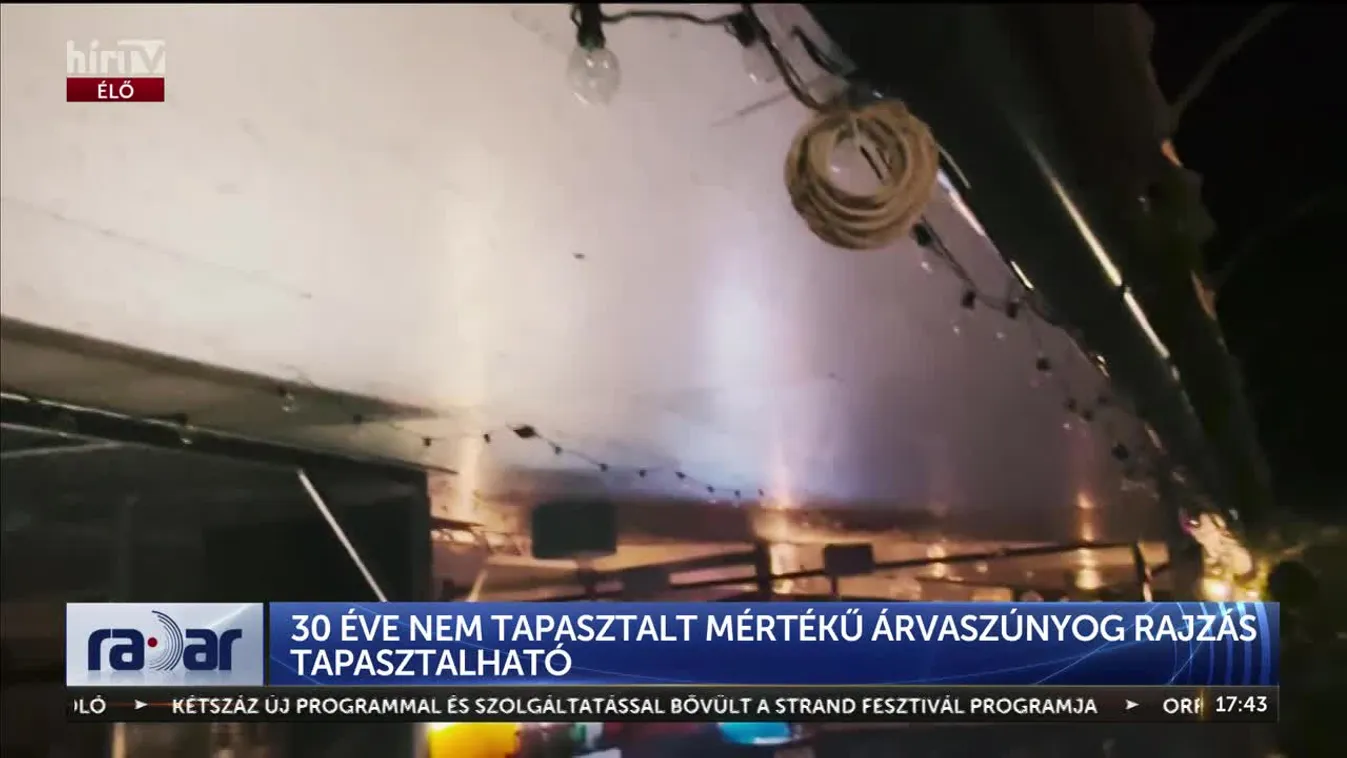 		Radar – 30 éve nem tapasztalt mértékű árvaszúnyog rajzás tapasztalható