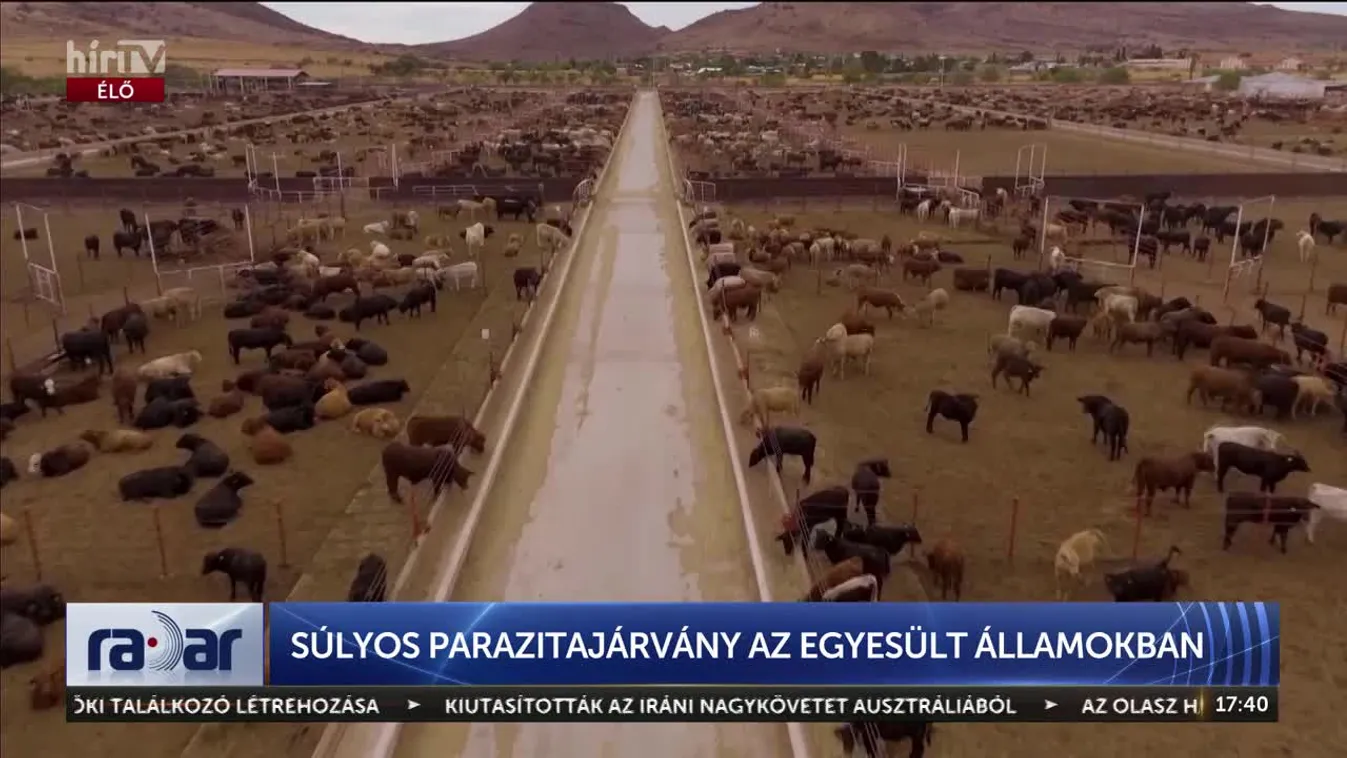 Radar - Súlyos parazitajárvány az Egyesült Államokban