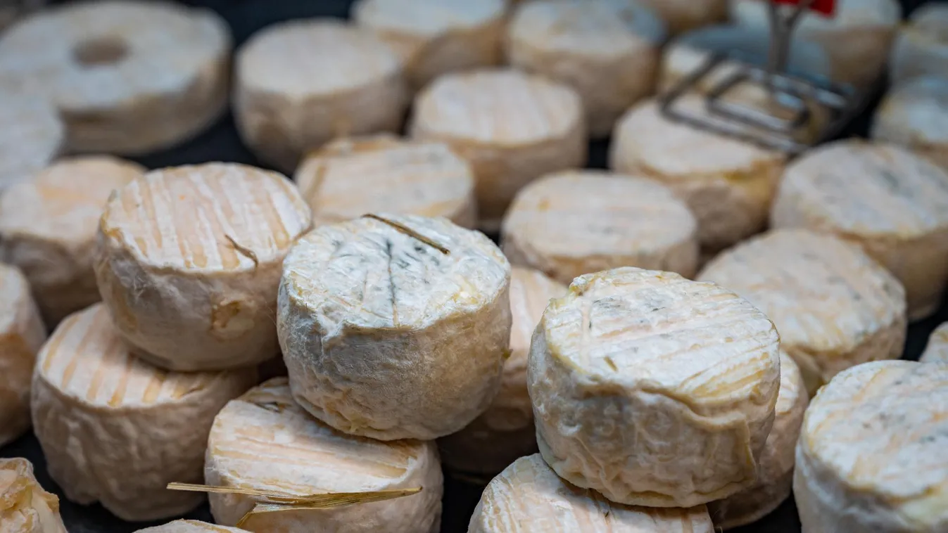 Tehén- és kecskesajtokat hívtak vissza a kereskedelemből mikrobiológiai szennyeződés miatt