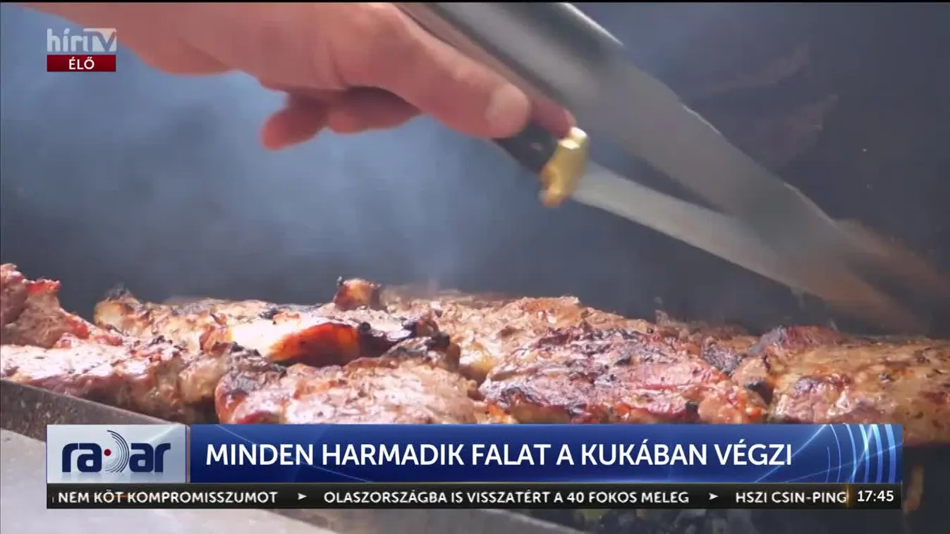 Radar – Minden harmadik falat a kukában végzi