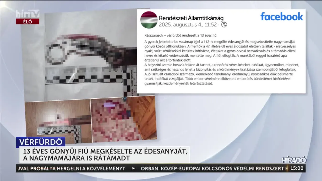 13 ÉVES GÖNYŰI FIÚ MEGKÉSELTE AZ ÉDESANYJÁT, A NAGYMAMÁJÁRA IS RÁTÁMADT