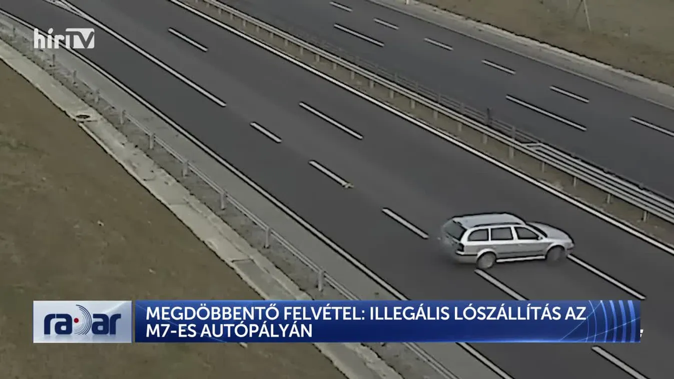 Radar - MEGDÖBBENTŐ FELVÉTEL: ILLEGÁLIS LÓSZÁLLÍTÁS AZ M7-ES AUTÓPÁLYÁN