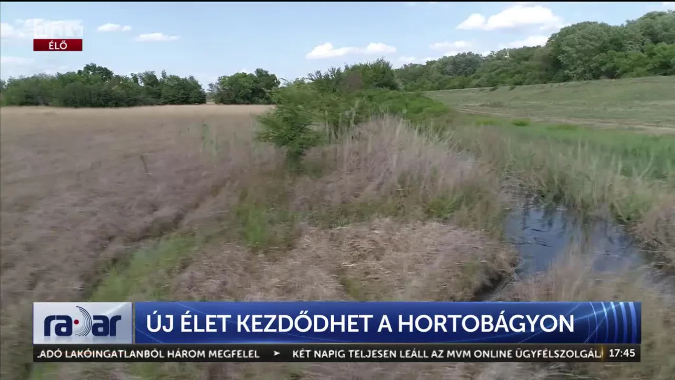 Radar - ÚJ ÉLET KEZDŐDHET A HORTOBÁGYON