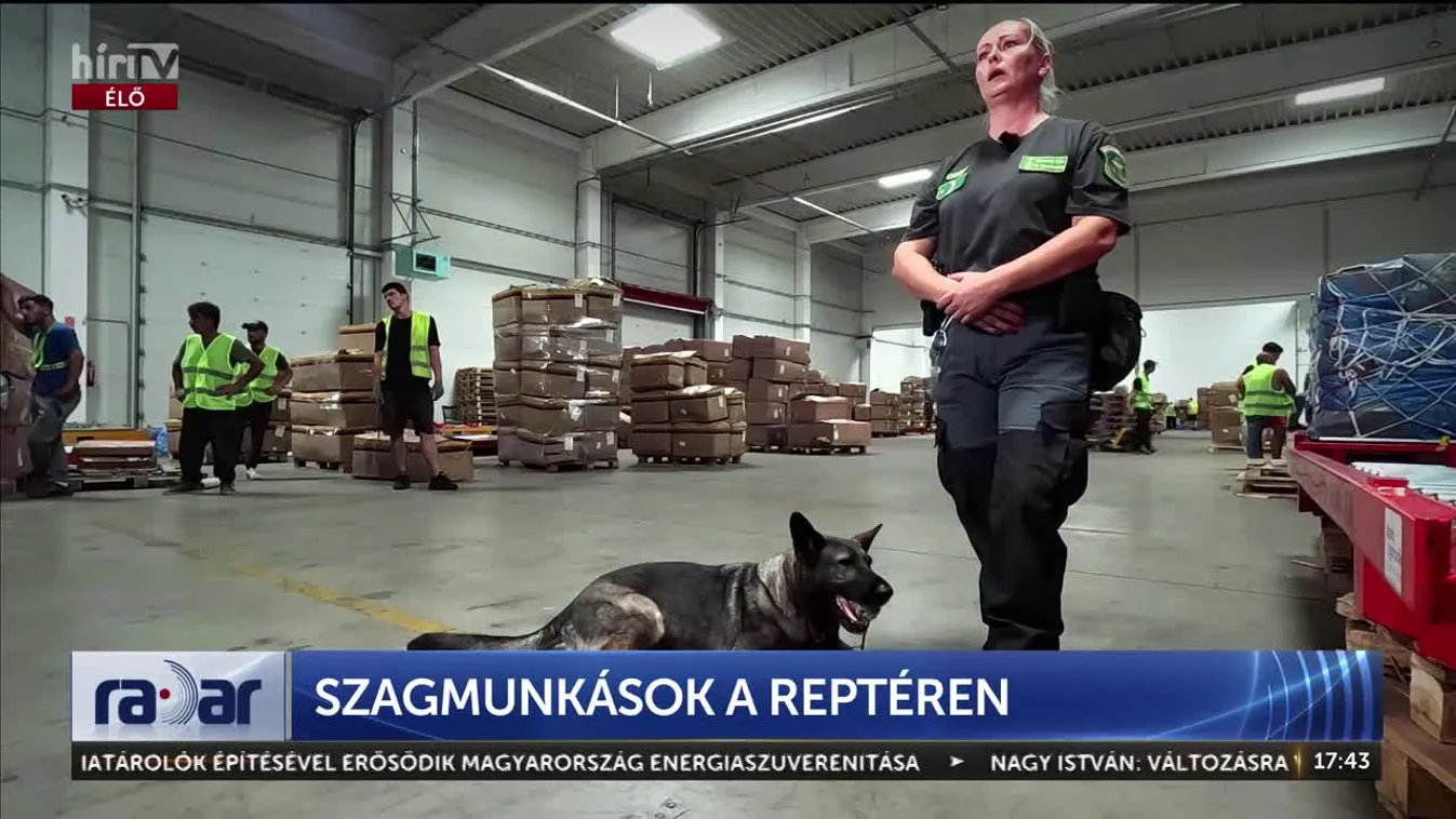 Radar - Szagmunkások a reptéren + videó