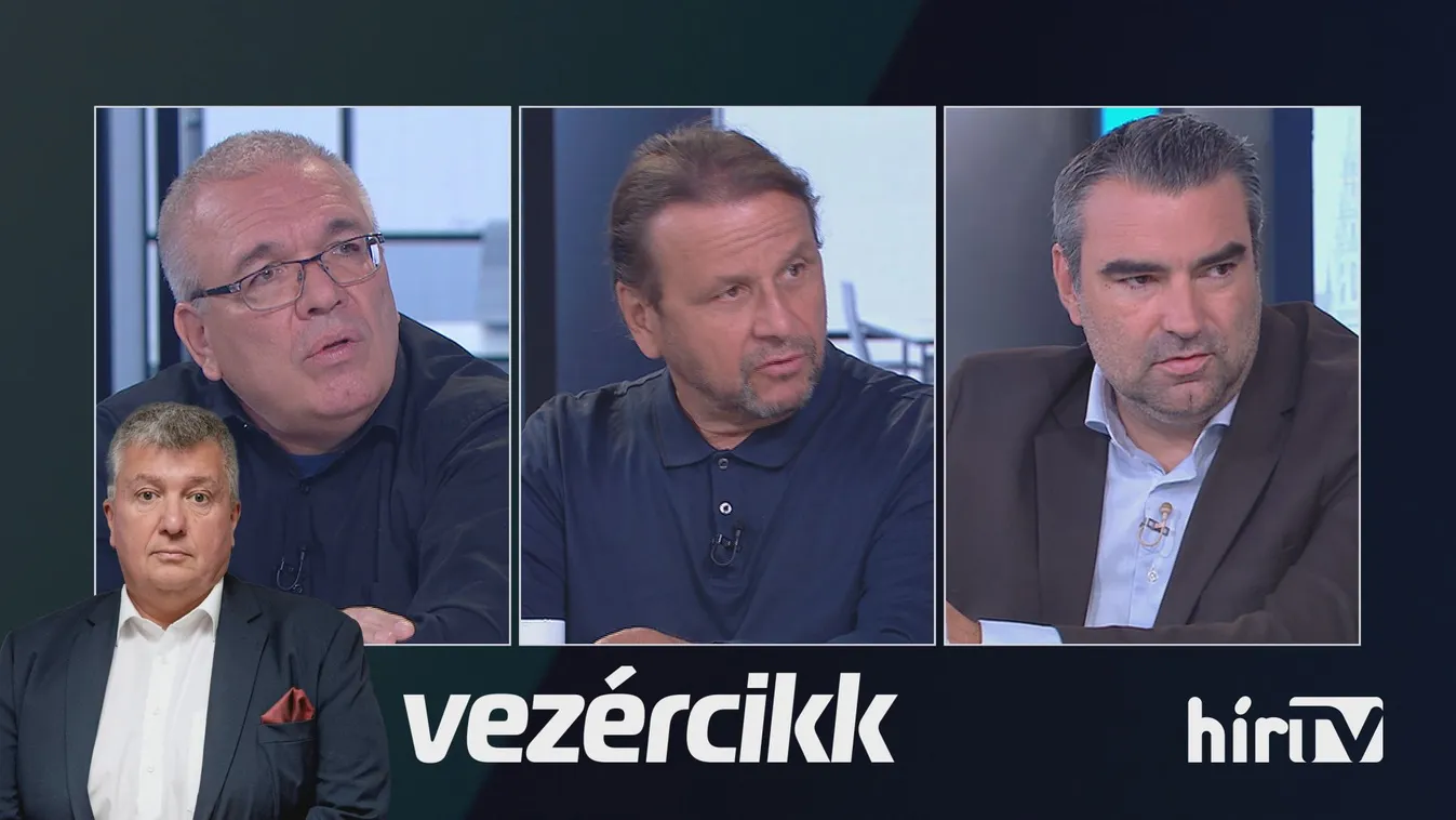 Vezércikk - Árad a Demokratikus Koalíció is + videó
