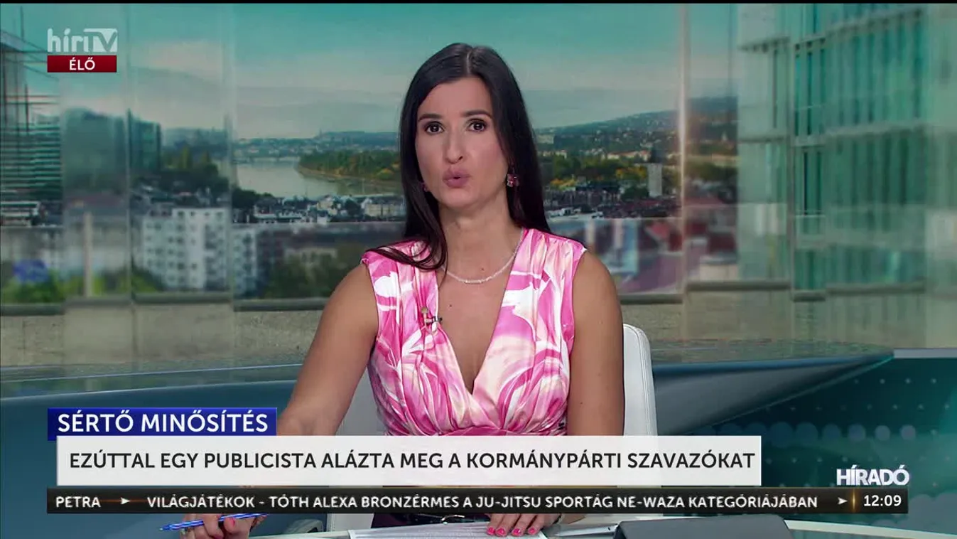 Ezúttal egy publicista alázta meg a kormánypárti szavazókat