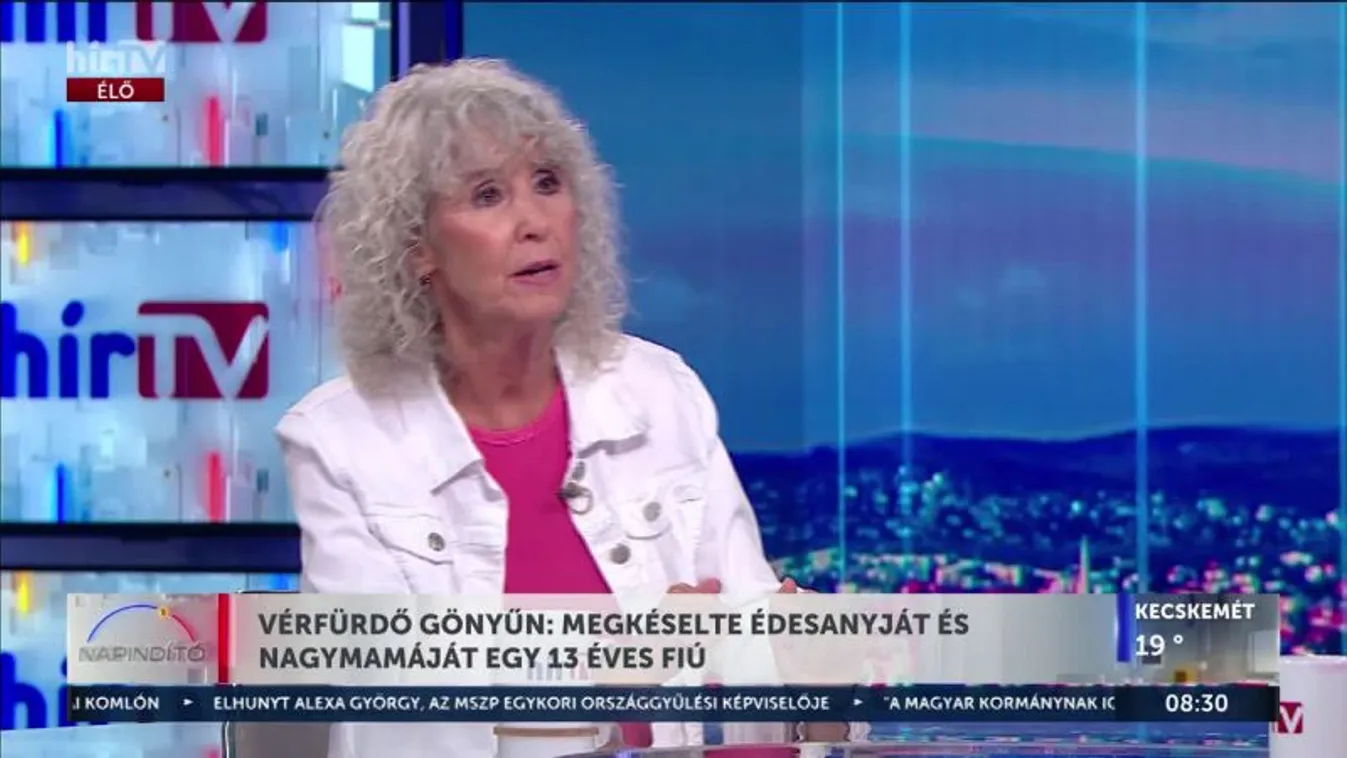 VÉRFÜRDŐ GÖNYŰN: MEGKÉSELTE ÉDESANYJÁT ÉS NAGYMAMÁJÁT EGY 13 ÉVES FIÚ