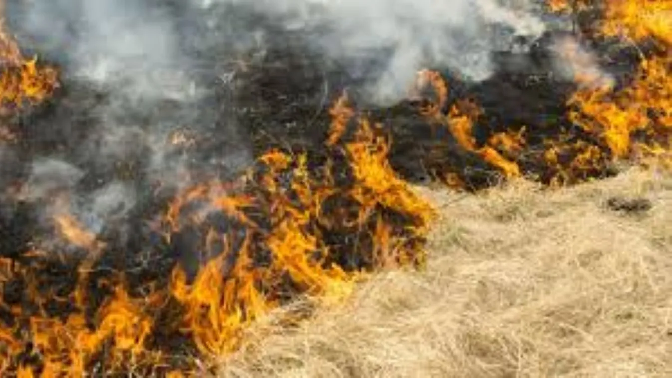 Kigyulladt az aljnövényzet Zugló és Rákospalota határán