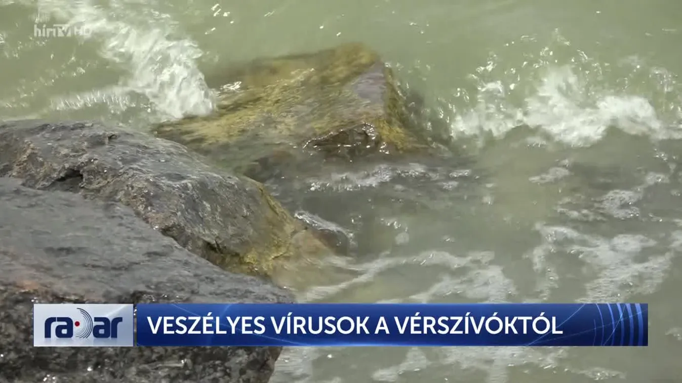 Radar – Veszélyes vírusok a vérszívóktó