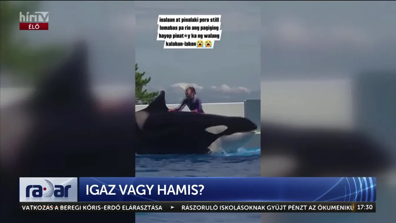 Radar – Igaz vagy hamis?