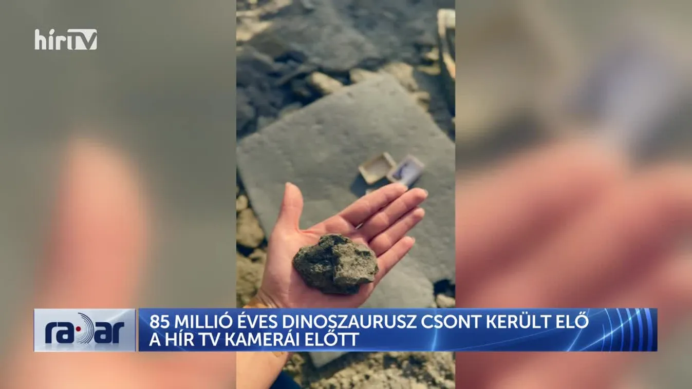 Radar - A Hír TV stábja fedezett fel egy 85 millió éves dinoszauruszcsont Iharkúton + videó