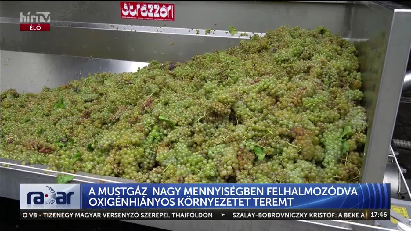 Radar - A MUSTGÁZ NAGY MENNYISÉGBEN FELHALMOZÓDVA OXIGÉNHIÁNYOS KÖRNYEZETET TEREMT