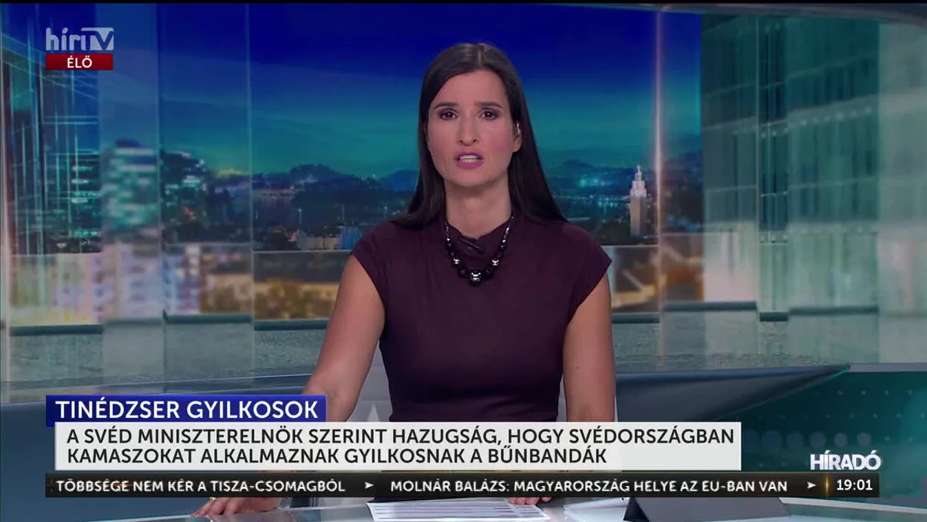 A svéd kormányfő szerint hazugság, hogy Svédországban kamaszokat alkalmaznak gyilkosnak a bűnbandák