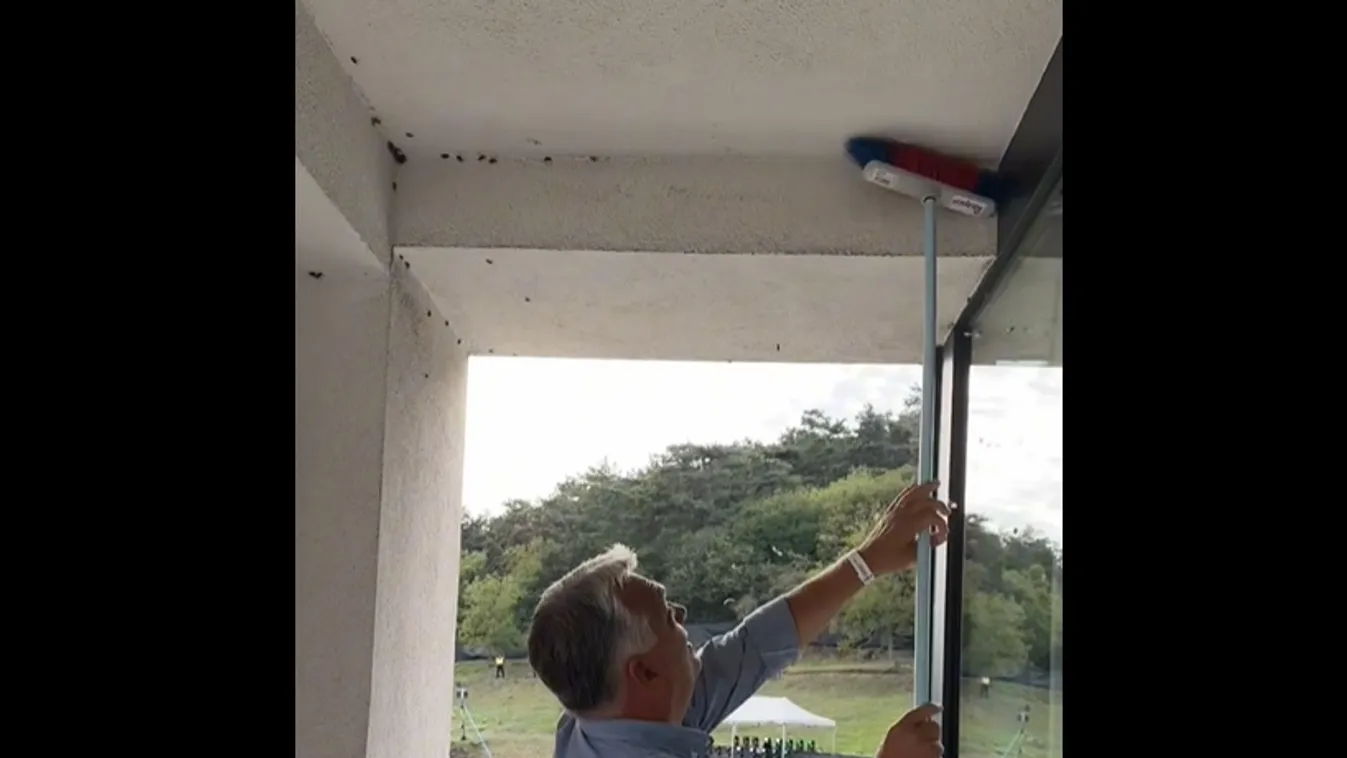 Orbán Viktor személyesen irtja a poloskákat + videó