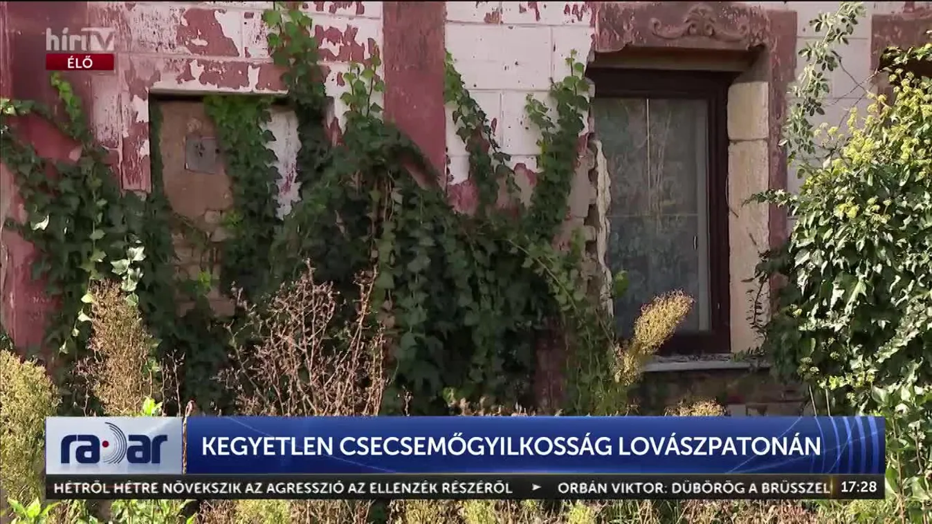 Radar – Kegyetlen csecsemőgyilkosság Lovászpatonán