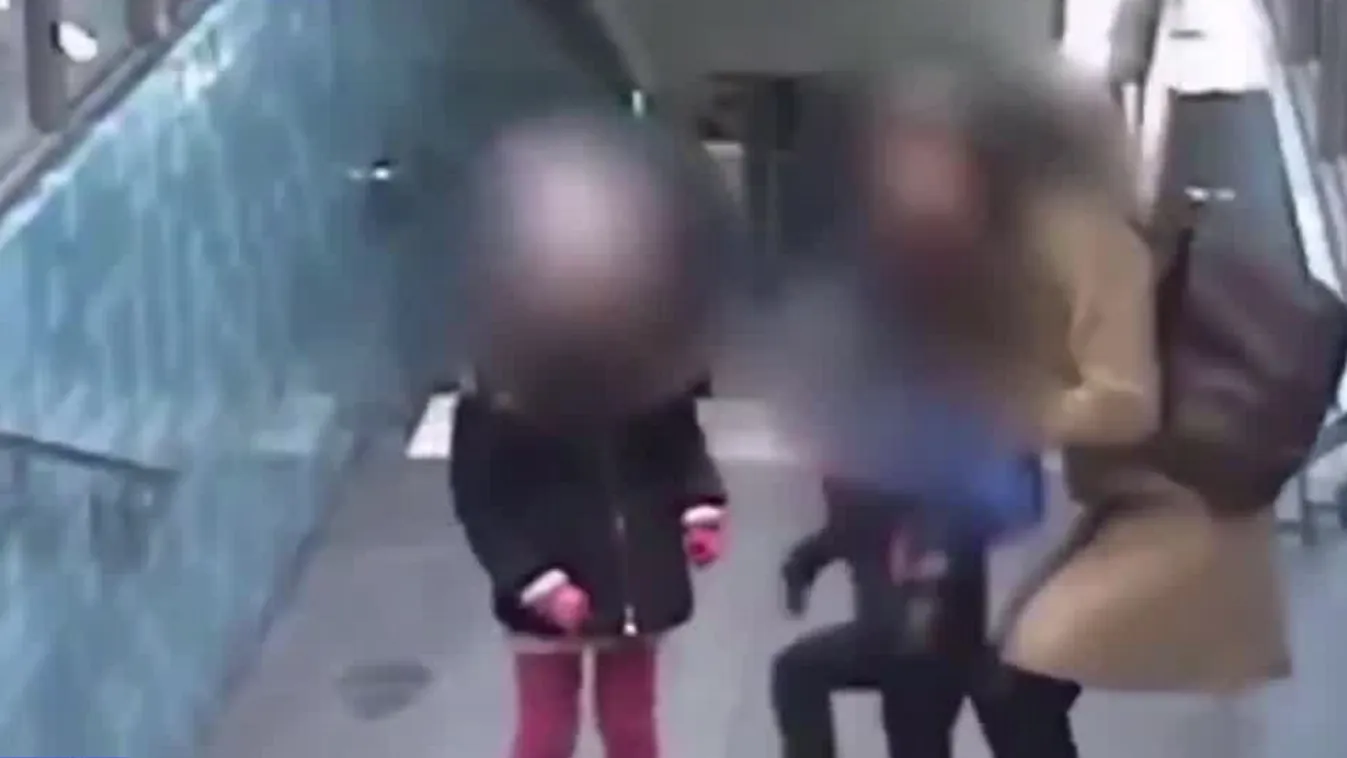 A svéd kormánykoalíciót támogató demokrata párt szerint is drámaian romlott a közbiztonság Svédországban + videó