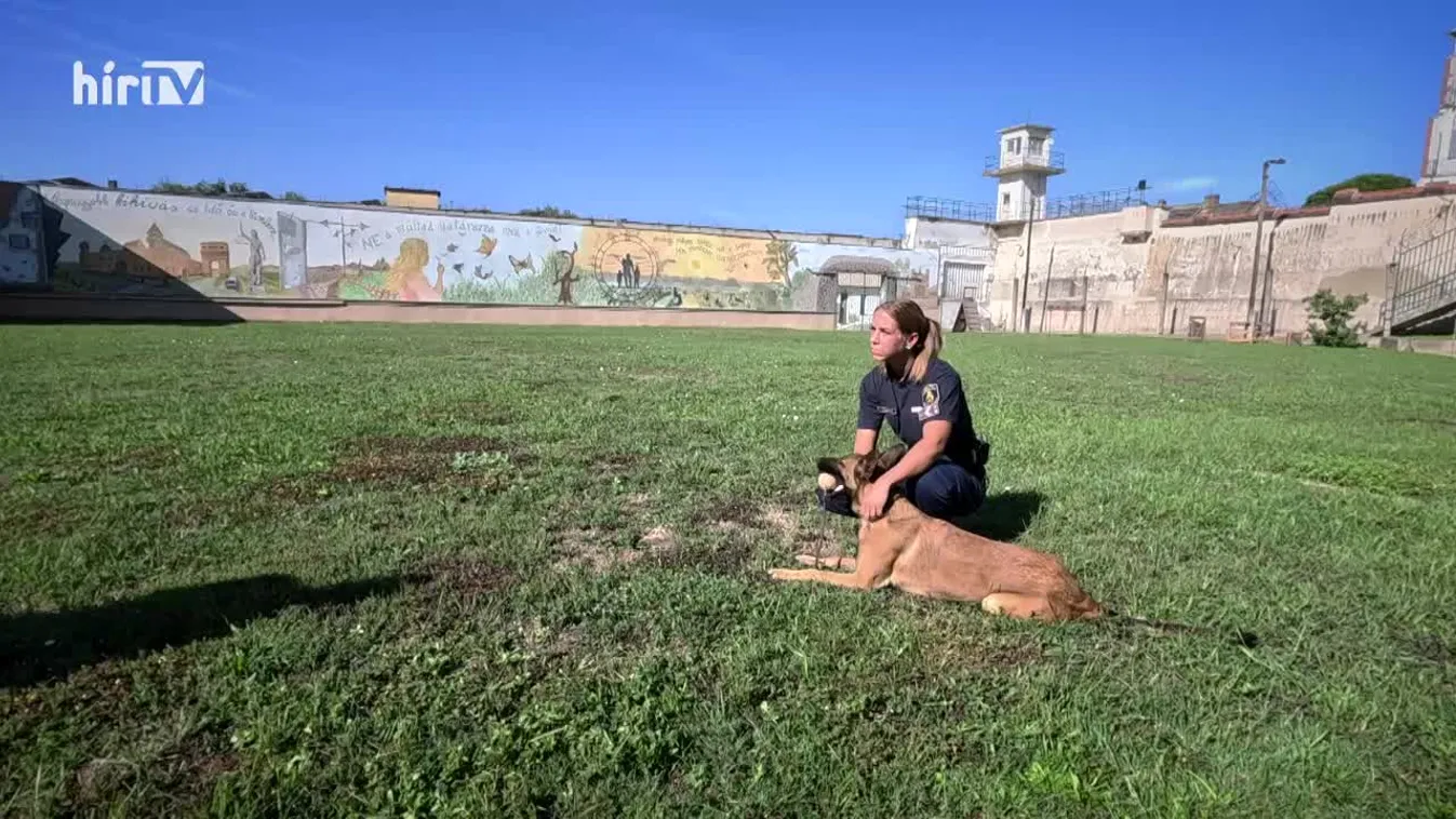 Riasztás - Négy lábon a rácsok mögött + videó