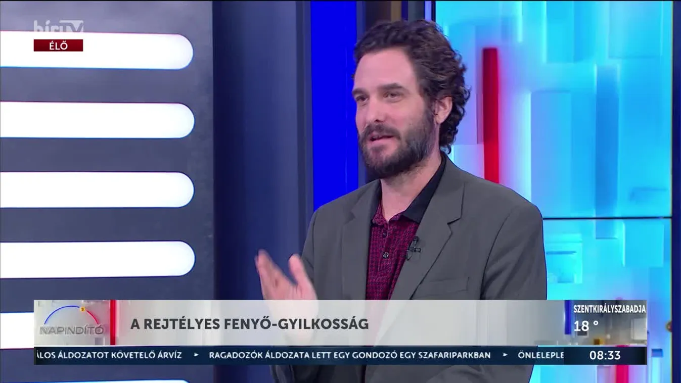 A REJTÉLYES FENYŐ-GYILKOSSÁG