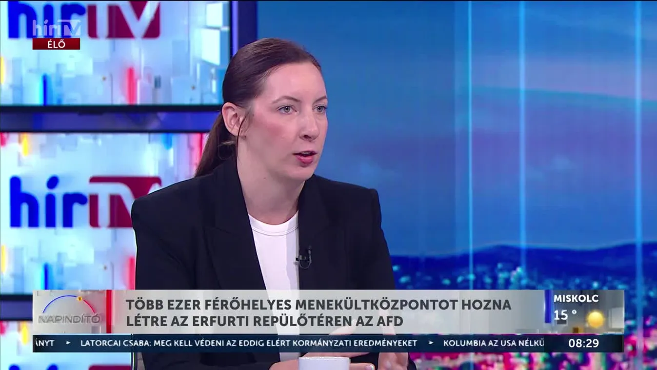 Több ezer férőhelyes menekülőközpontot hozna létre az Erfurti repülőtéren az AFD