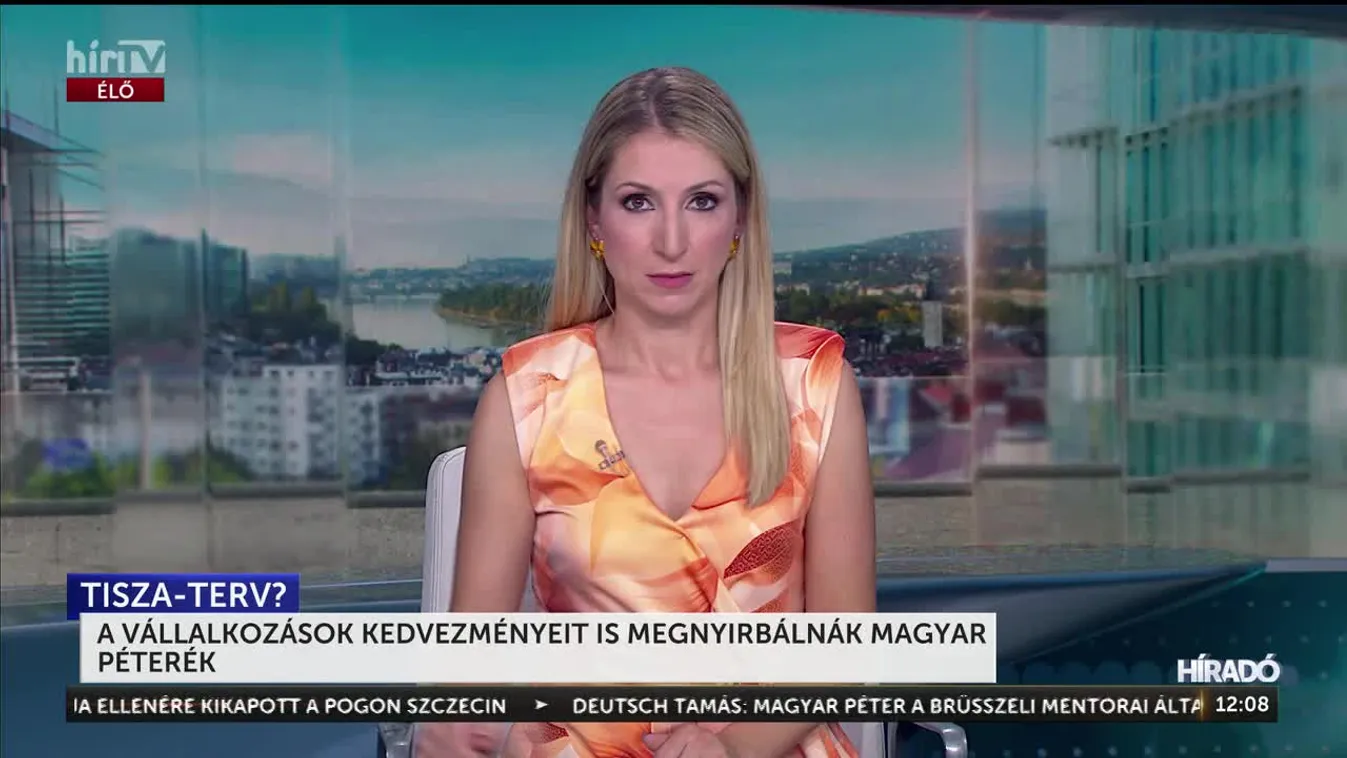 A VÁLLALKOZÁSOK KEDVEZMÉNYEIT IS MEGNYIRBÁLNÁK MAGYAR PÉTERÉK