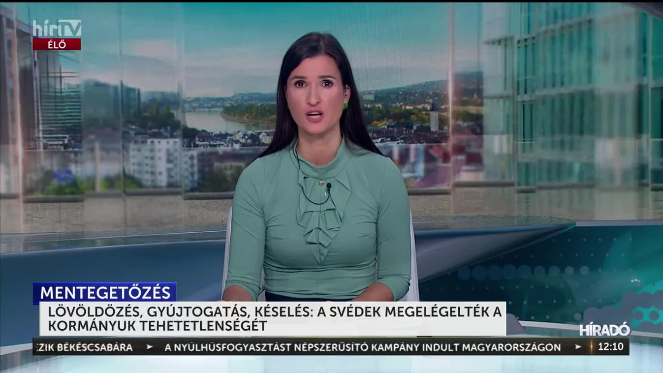 Lövöldözés, gyújtogatás, késelés: a svédek megelégelték a kormányuk tehetetlenségét