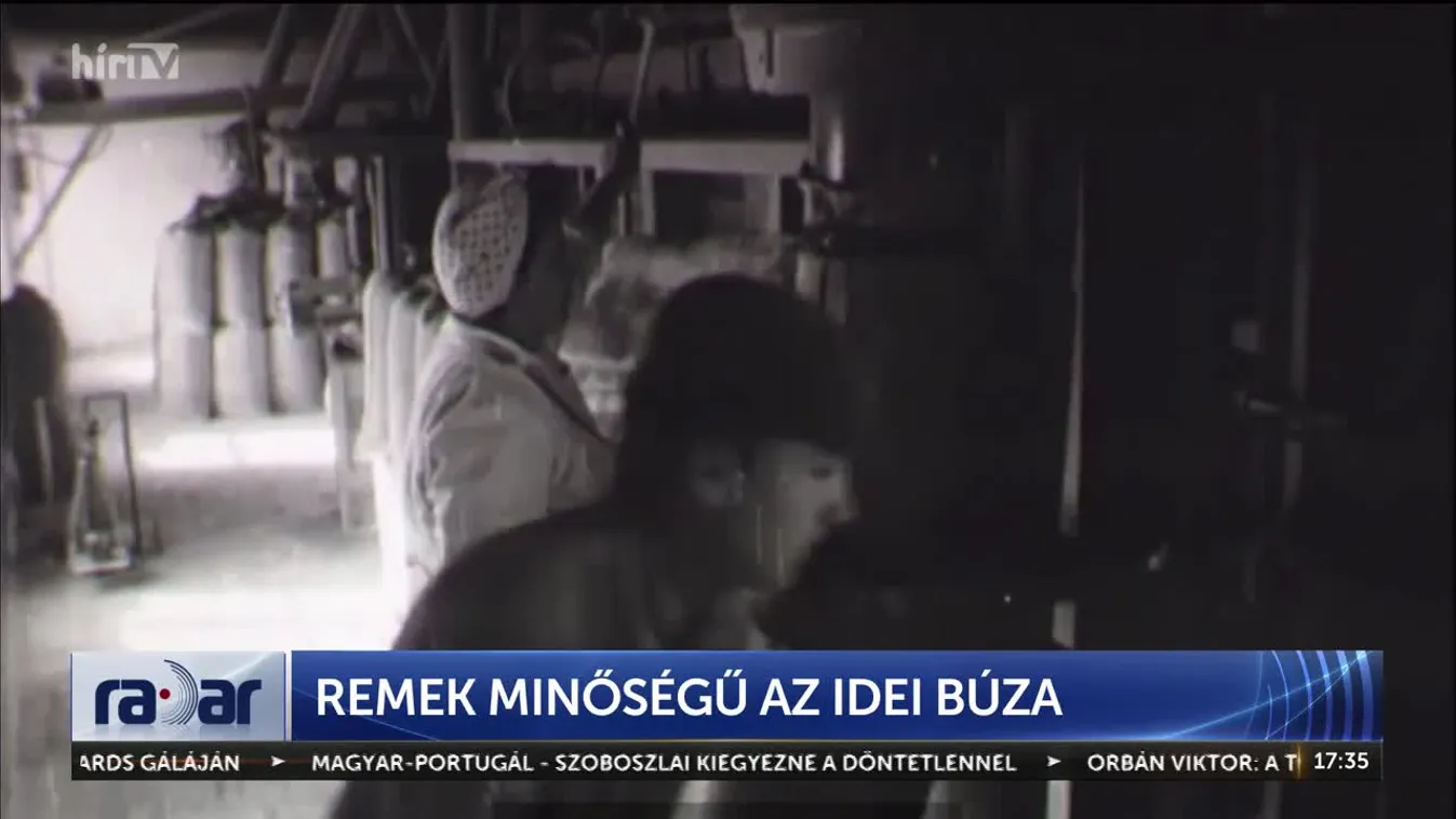 Radar - REMEK MINŐSÉGŰ AZ IDEI BÚZA